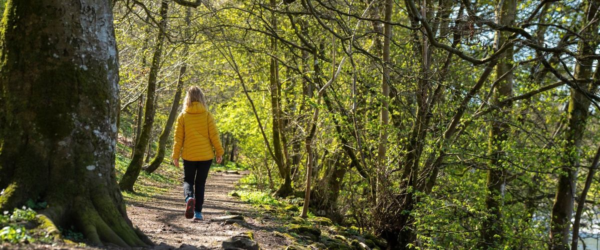 Walking the Westmorland and Furness Way
